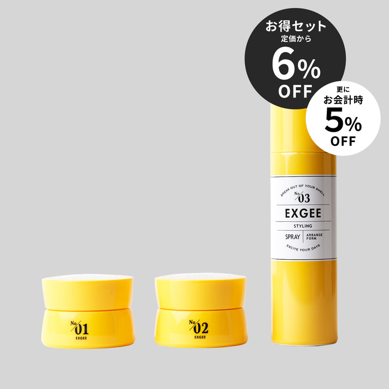 EXGEE スタイリングセット